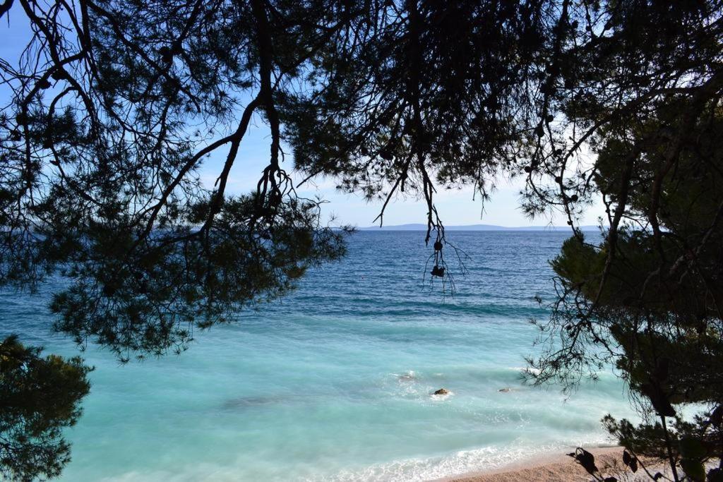 Appartamento Fima Centar Stobrec Spalato Esterno foto